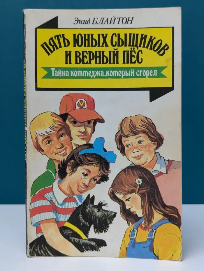 Пять юных сыщиков и верный пес. Тайна коттеджа, который сгорел