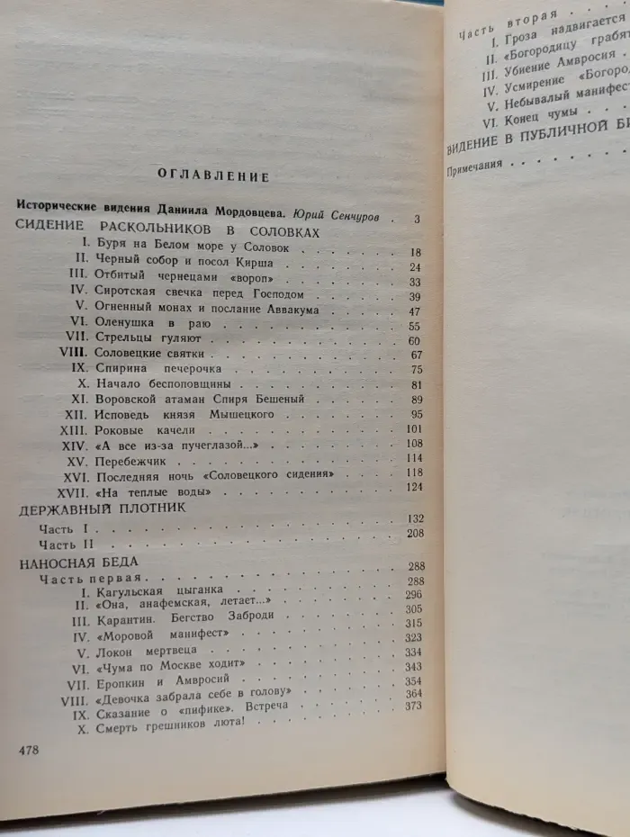 Державный плотник