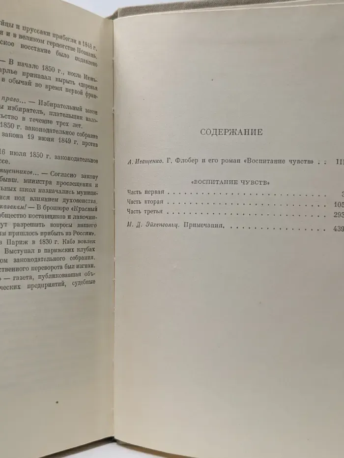 Воспитание чувств. История одного молодого человека