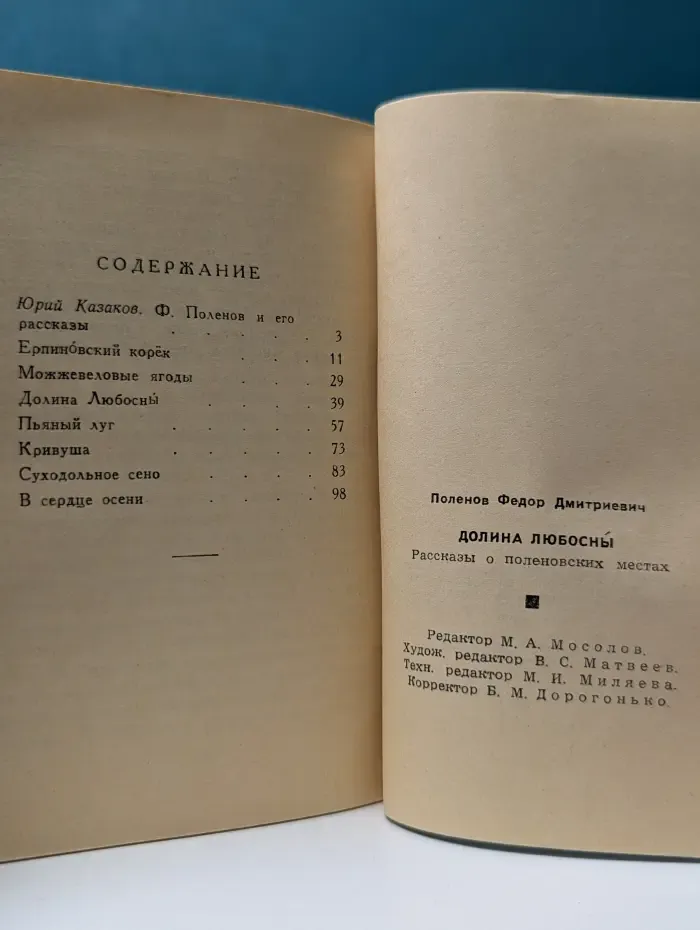 Долина Любосны. Рассказы о поленовских местах