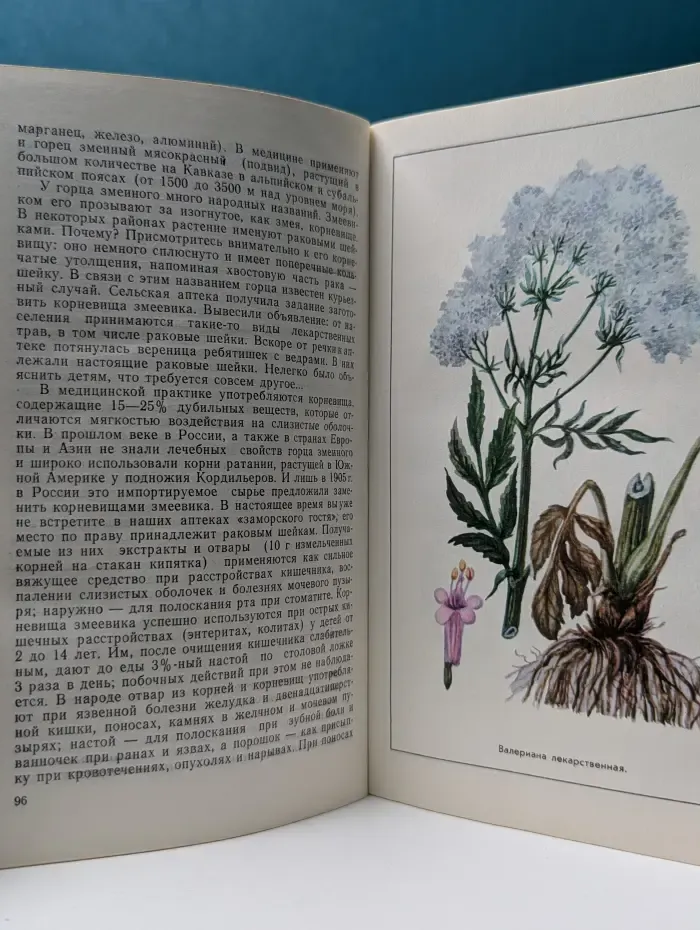 Зеленая аптека