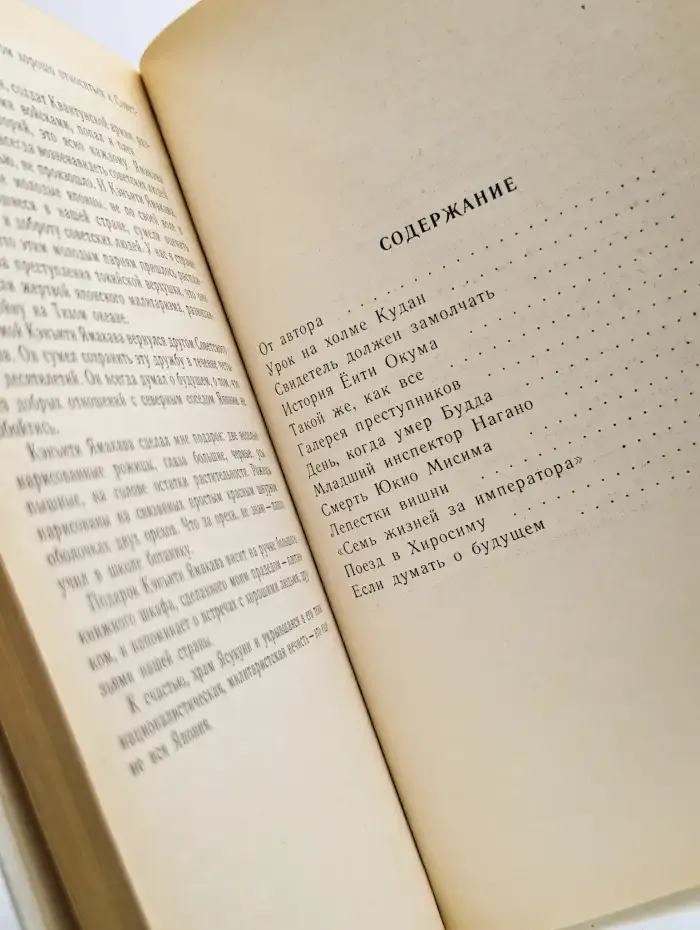 В тени храма Ясукуни. Очерки