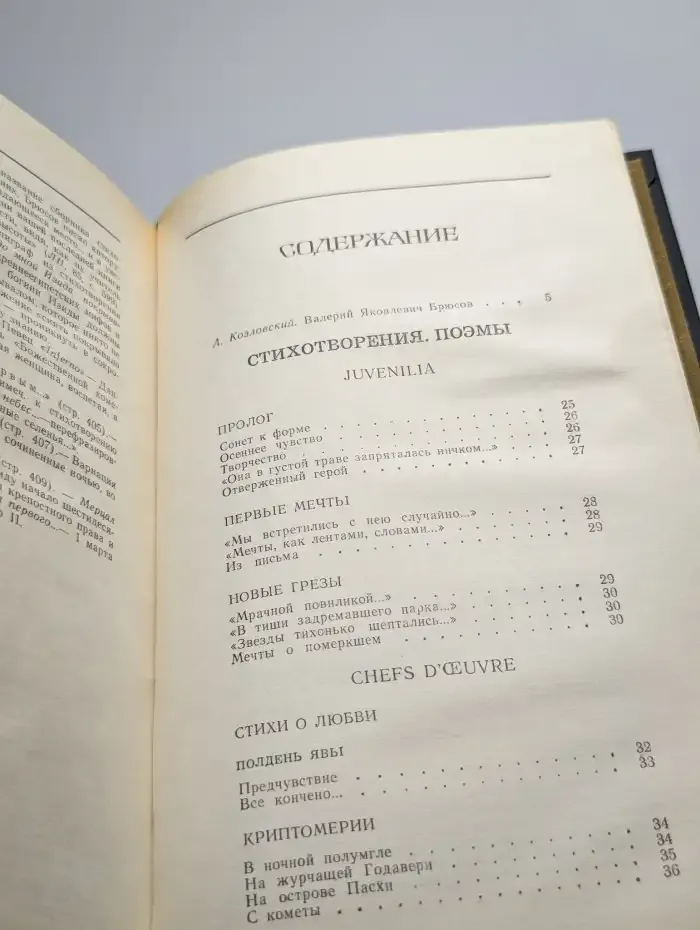 В. Я. Брюсов. Избранное
