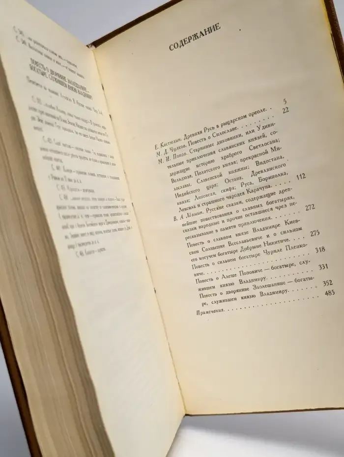 Приключения славянских витязей