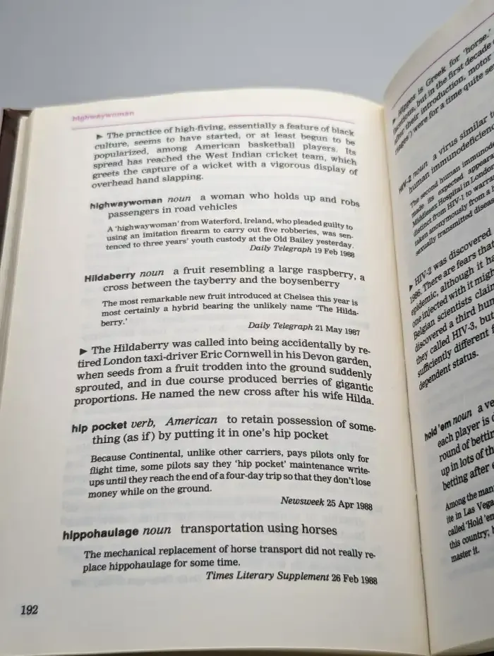 Словарь новых слов английского языка