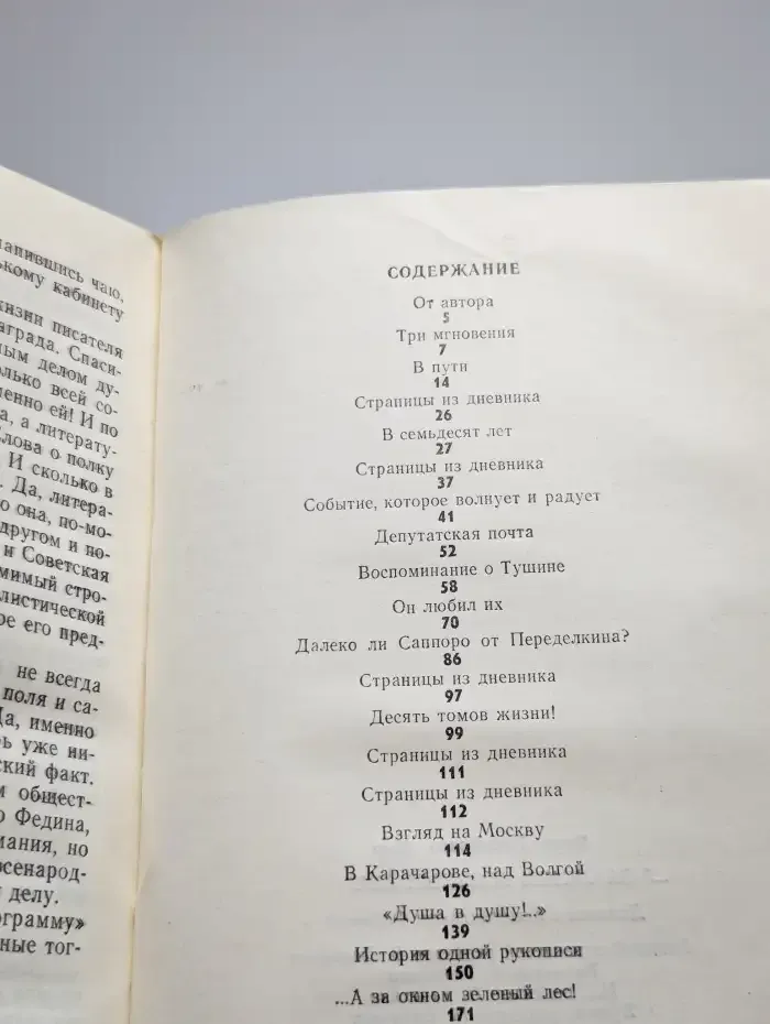 А за окном зеленый лес