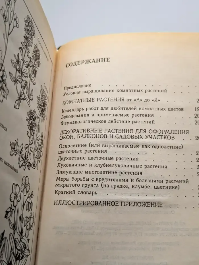 Среди цветов