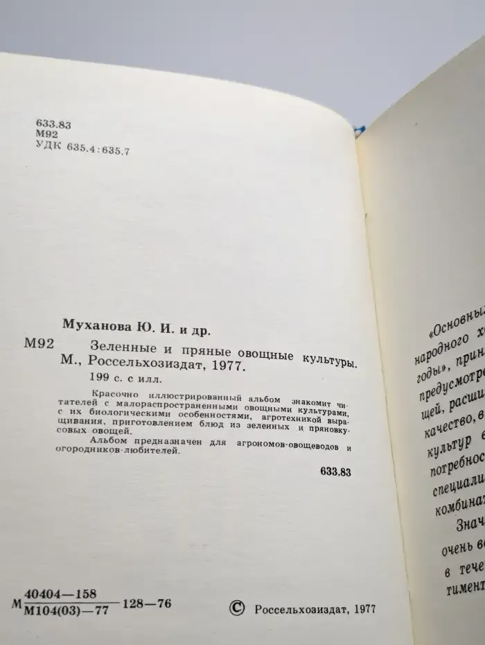 Зеленые и пряные овощные культуры