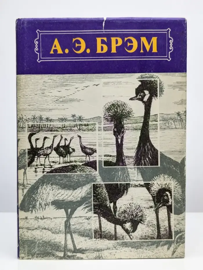 Жизнь животных. Том 2. Птицы