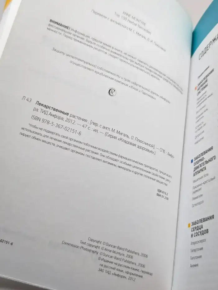 Лекарственные растения. Первая помощь природы