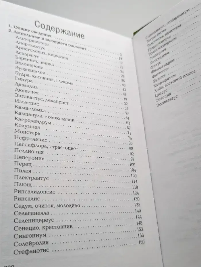 Ампельные и вьющиеся растения