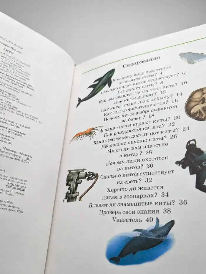 Все обо всем. Киты