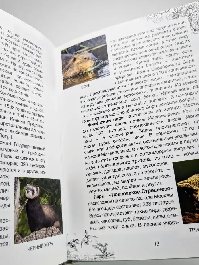 Кто живет рядом с нами