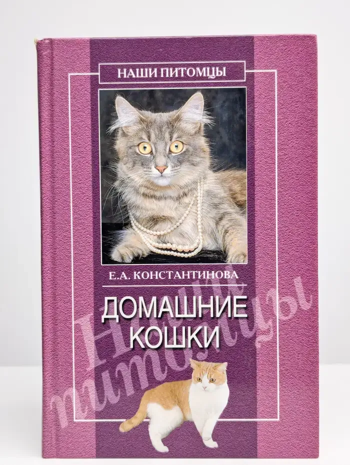 Домашние кошки