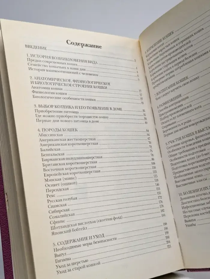 Домашние кошки