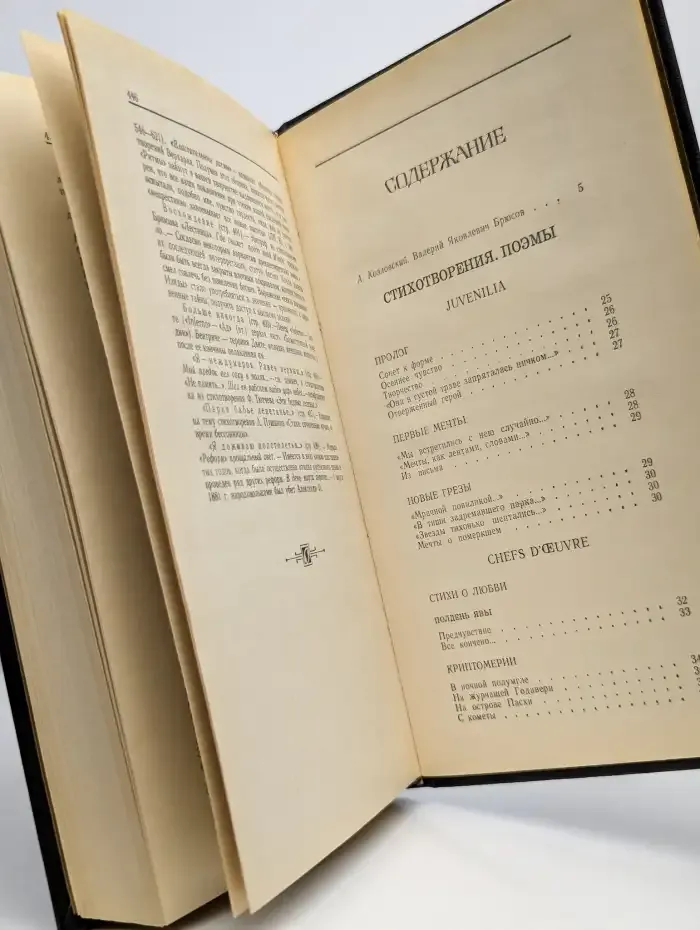 В. Я. Брюсов. Избранное