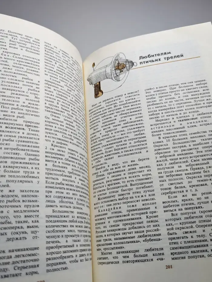 Калейдоскоп семейного досуга