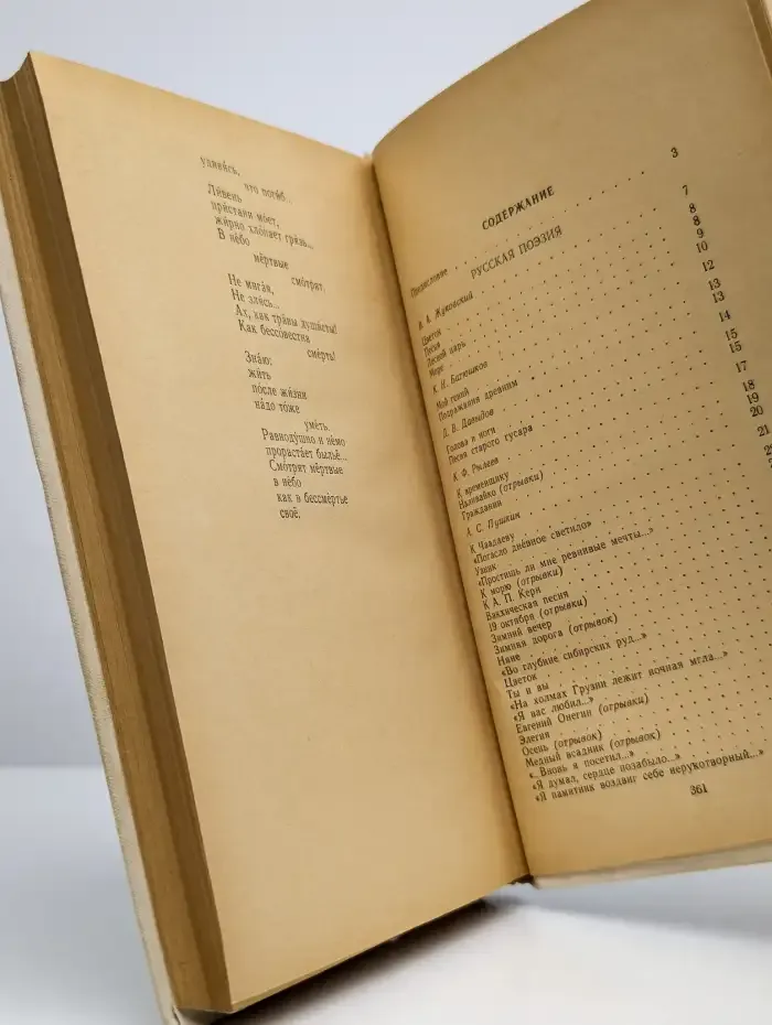 Русская и советская поэзия для студентов-иностранцев