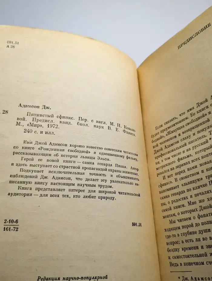 Пятнистый сфинкс