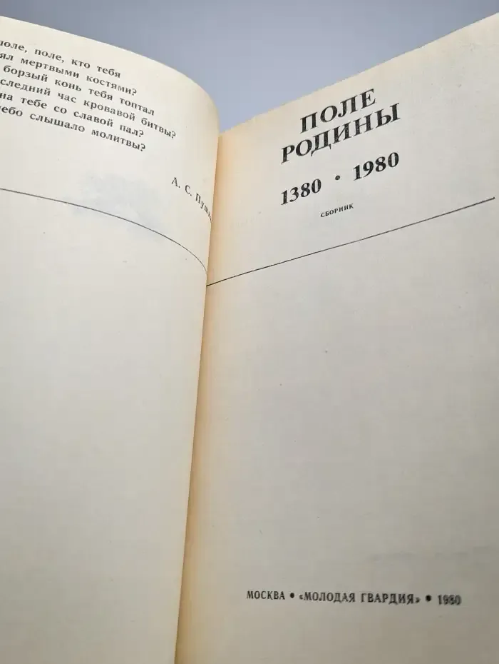 Поле Родины. 1380-1980