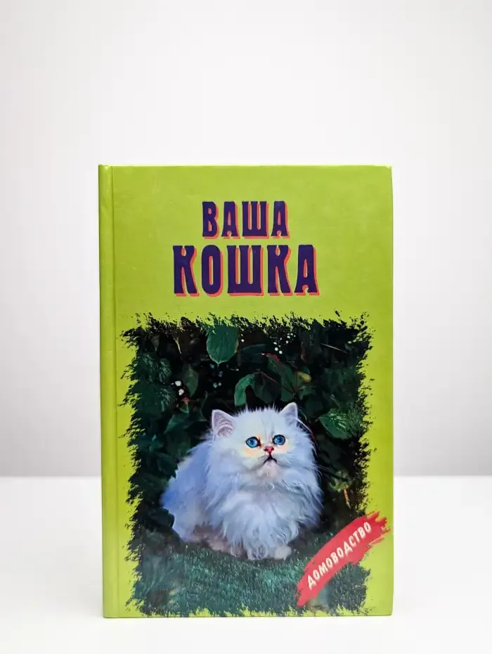 Ваша кошка