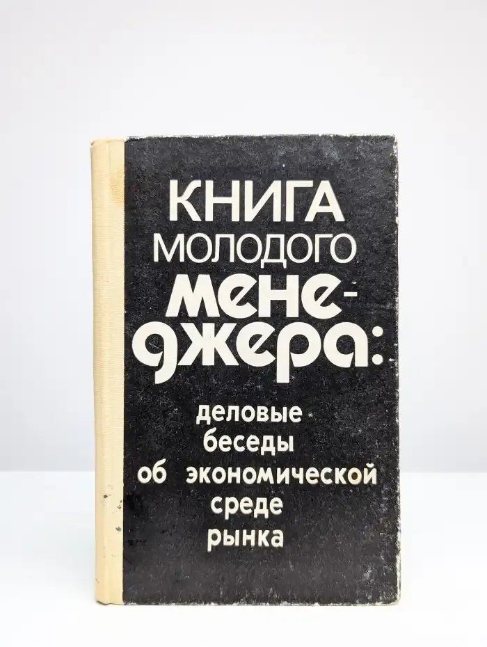 Книга молодого менеджера: деловые беседы