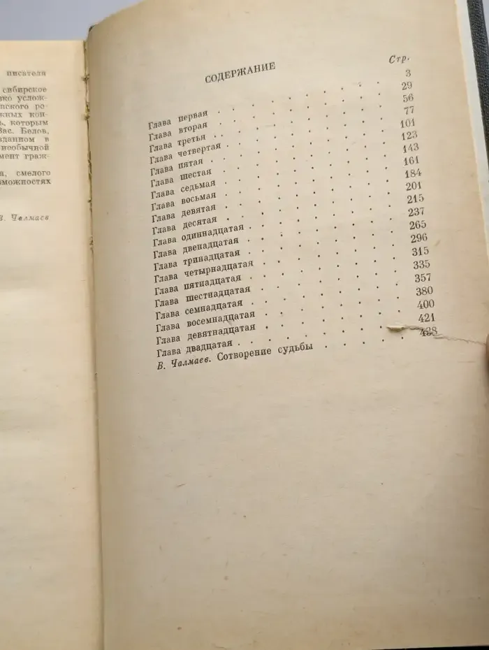 Соленая падь