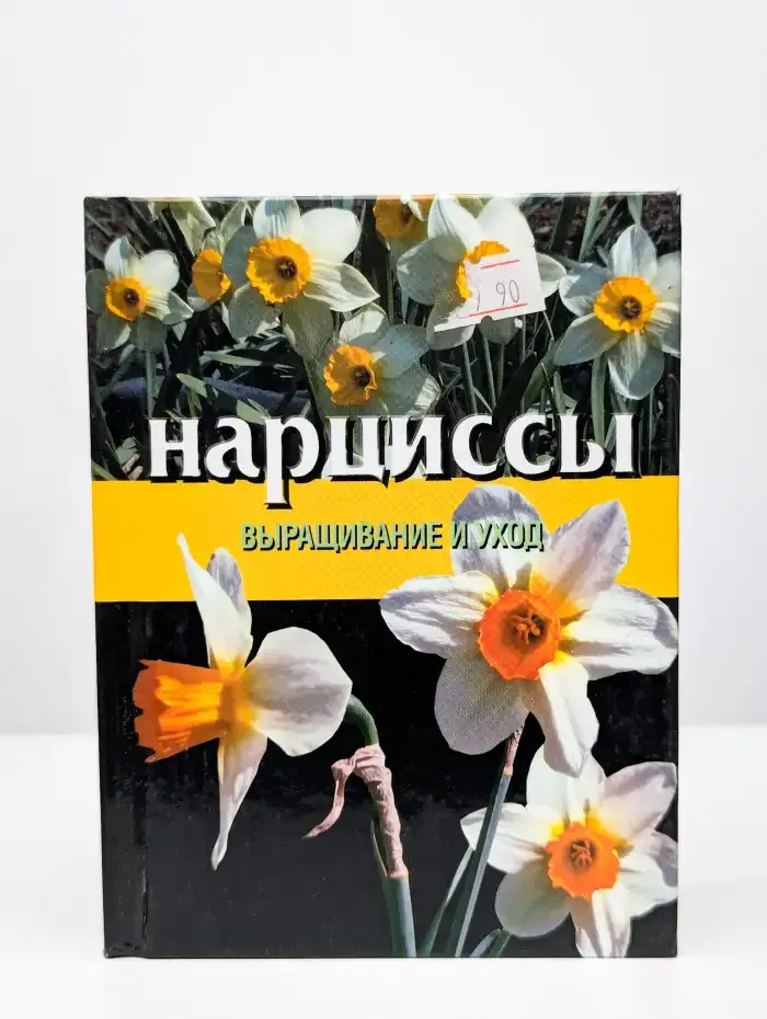 Нарциссы. Выращивание и уход