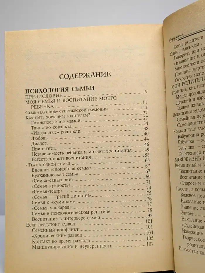 Психотерапия. Игра, детство, семья. Том 2