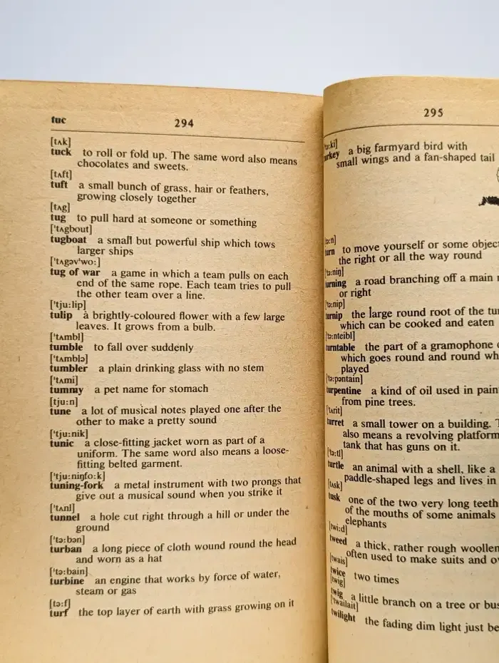 Chambers first learners' dictionary / Первый учебный словарь