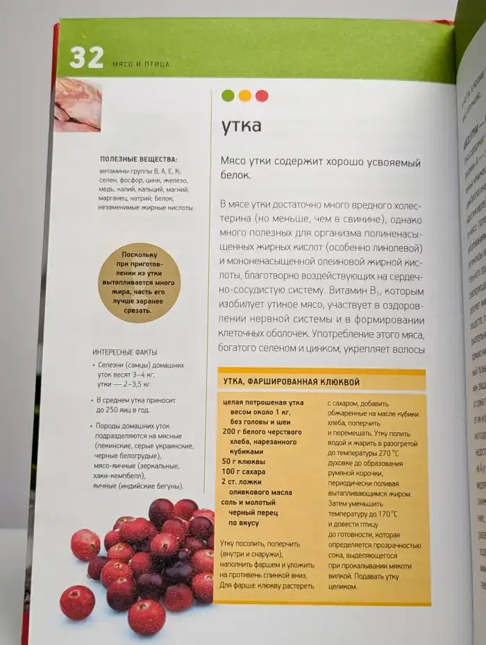 Мясо и птица. Лечебные свойства протеинов