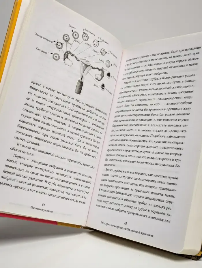 Твоя жизнь до рождения: тайны эволюции человека