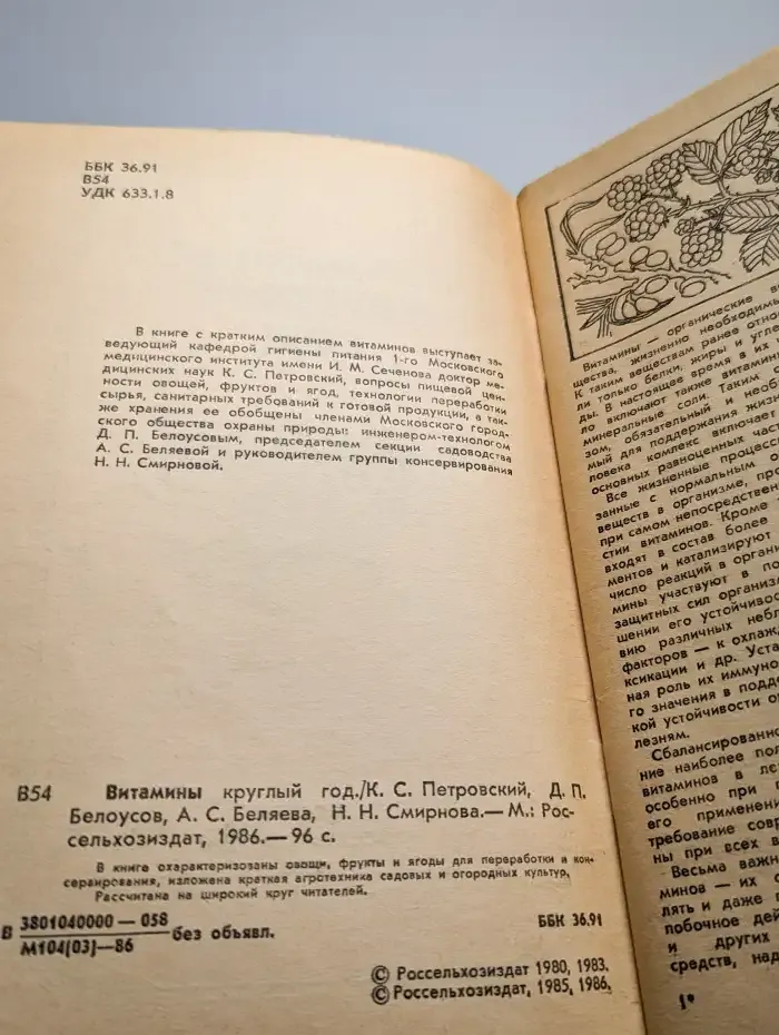 Витамины круглый год