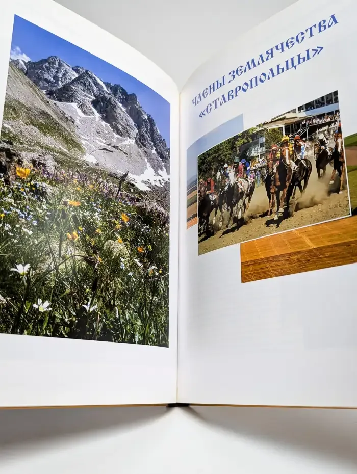 Дорогие мои земляки — Ставропольцы