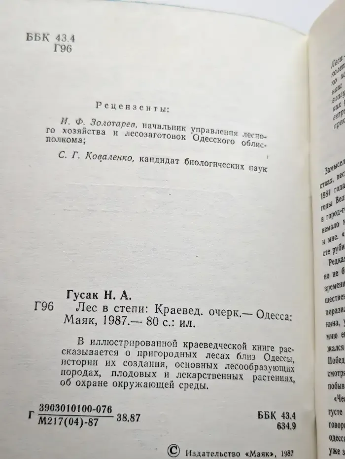 Лес в степи