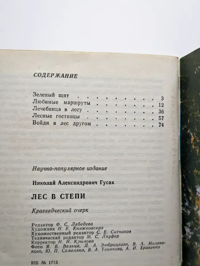 Лес в степи