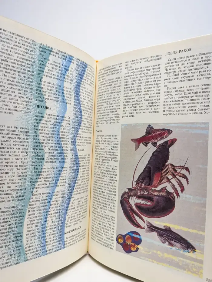 Ловись, рыбка!