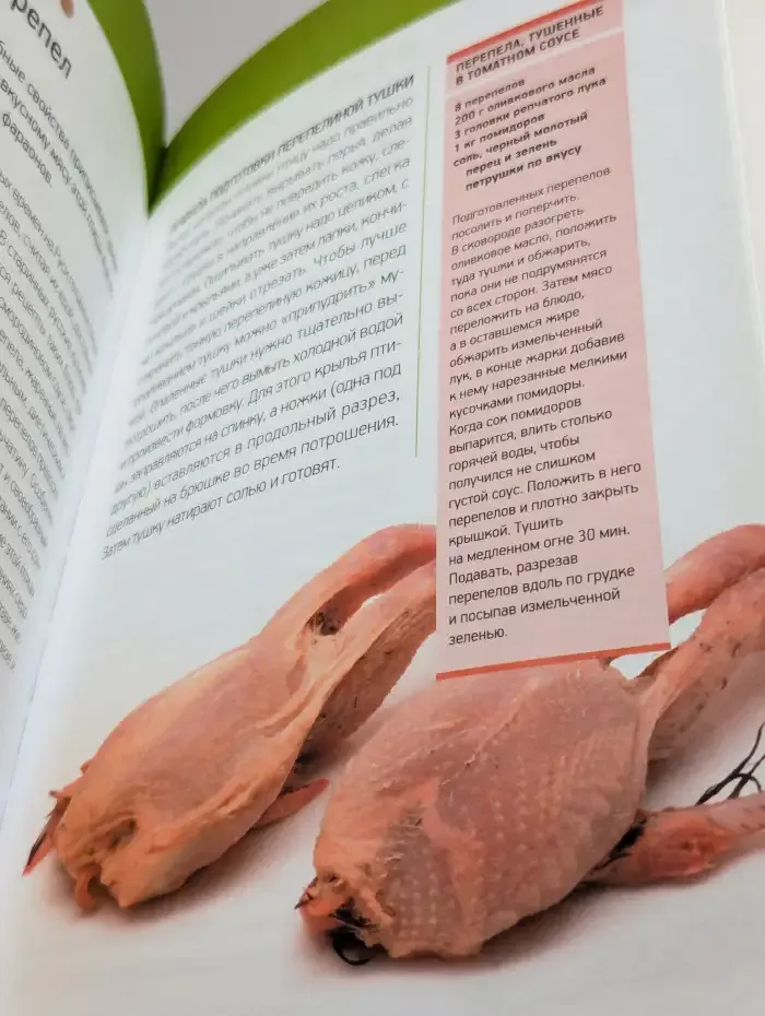 Мясо и птица. Лечебные свойства протеинов