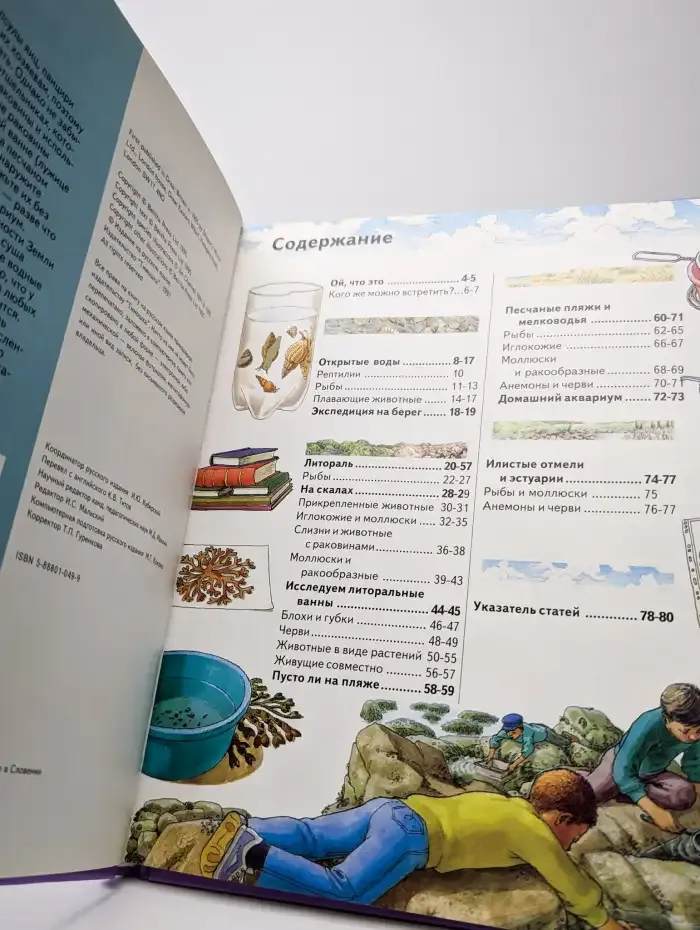 Жизнь в соленой воде. Школьный путеводитель