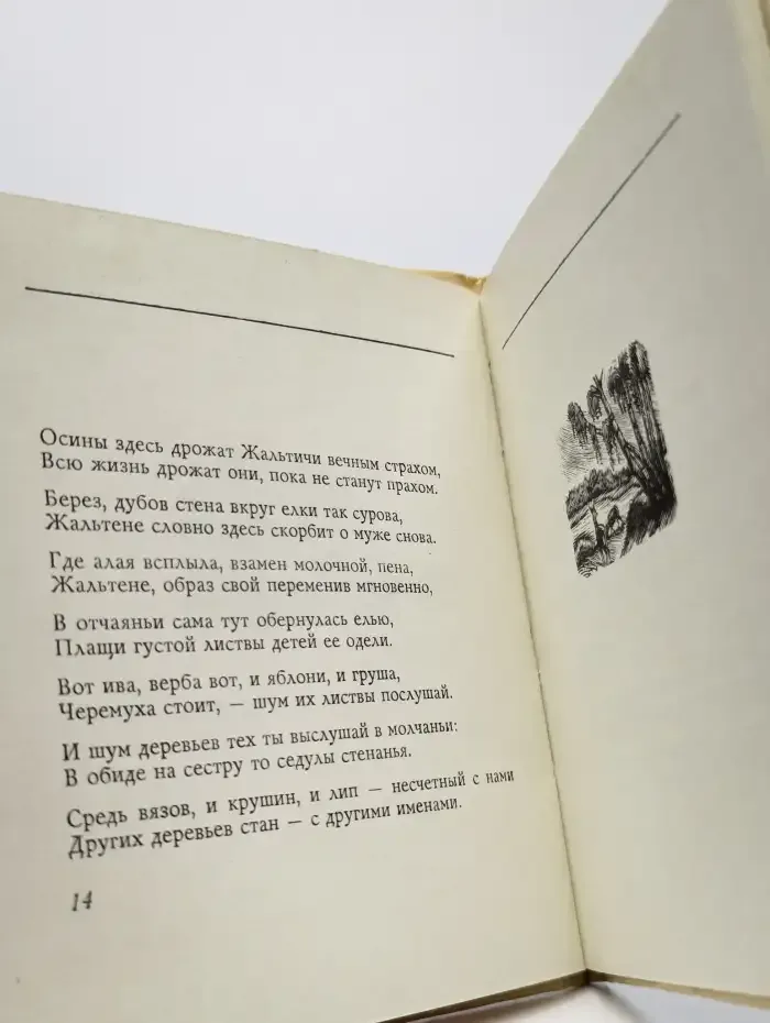 Аникщяйский бор