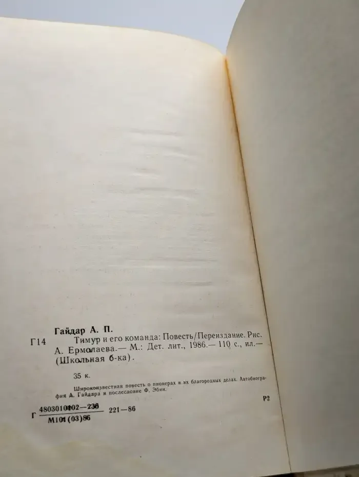 Тимур и его команда