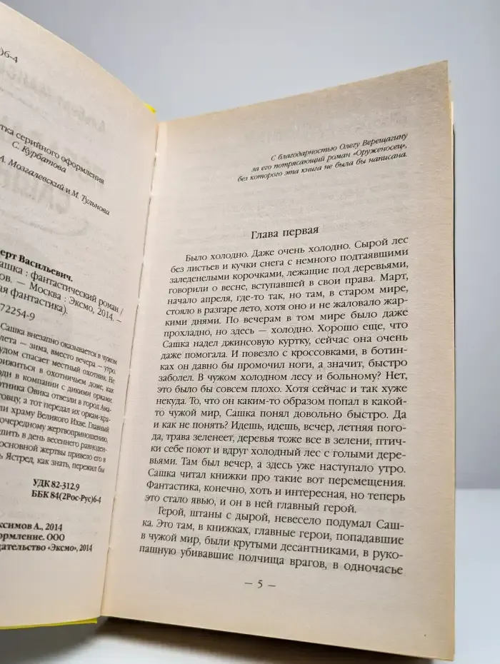 Попаданец Сашка