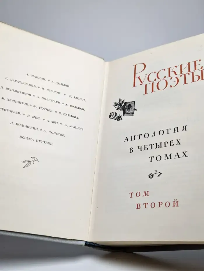Русские поэты. Том 2