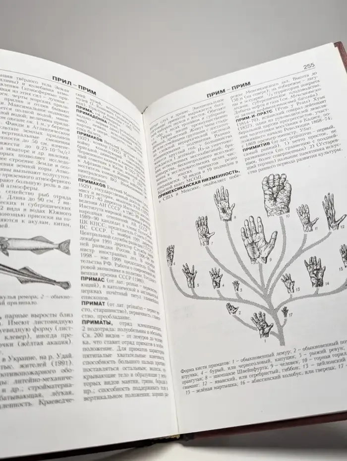 Новая иллюстрированная энциклопедия. Том 14. Пе-Пр