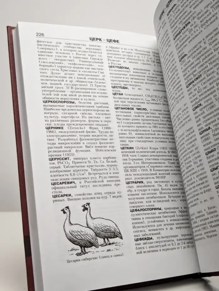 Новая иллюстрированная энциклопедия. Том 19 Ун-Че