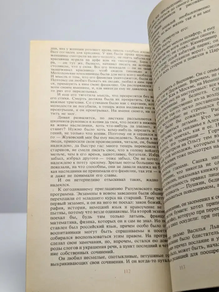 Пушкин. В 2 книгах. Книга 2