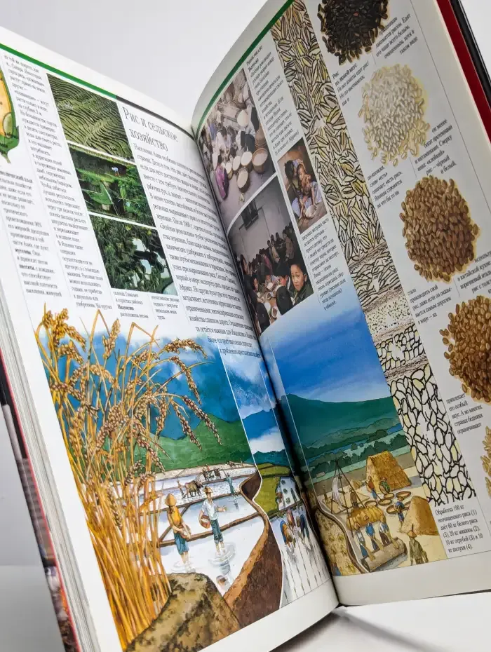 Современный мир