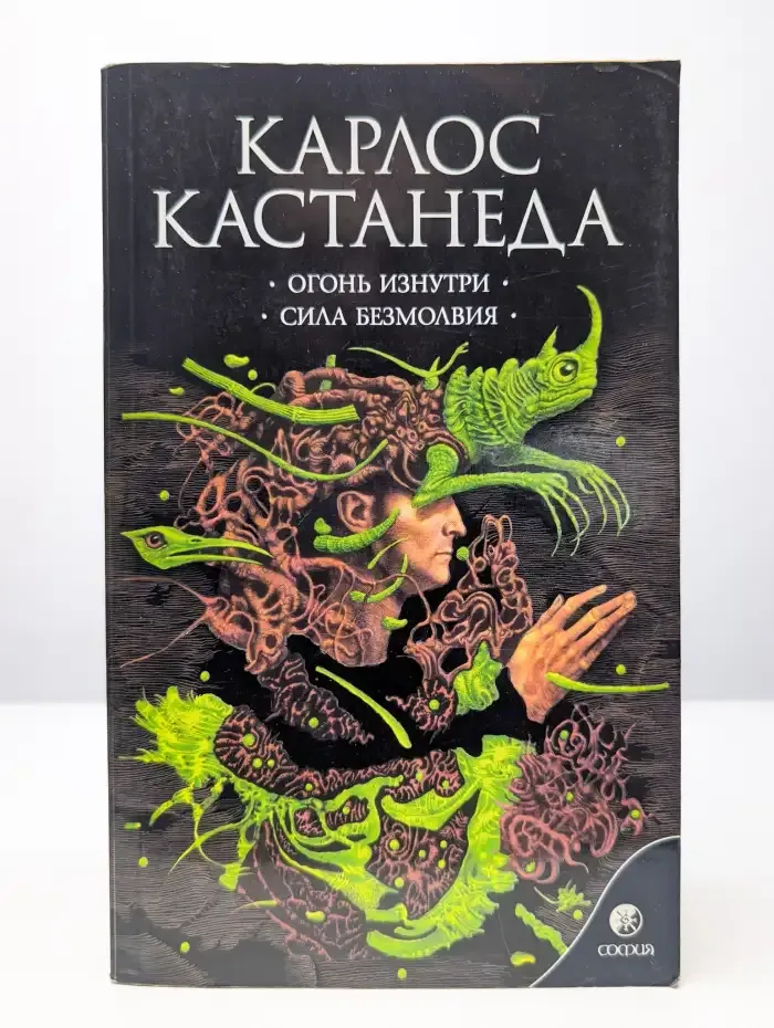 Огонь изнутри. Сила безмолвия