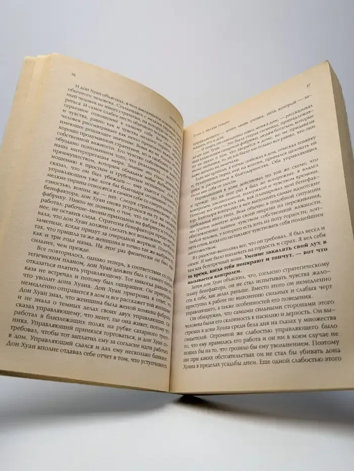 Огонь изнутри. Сила безмолвия