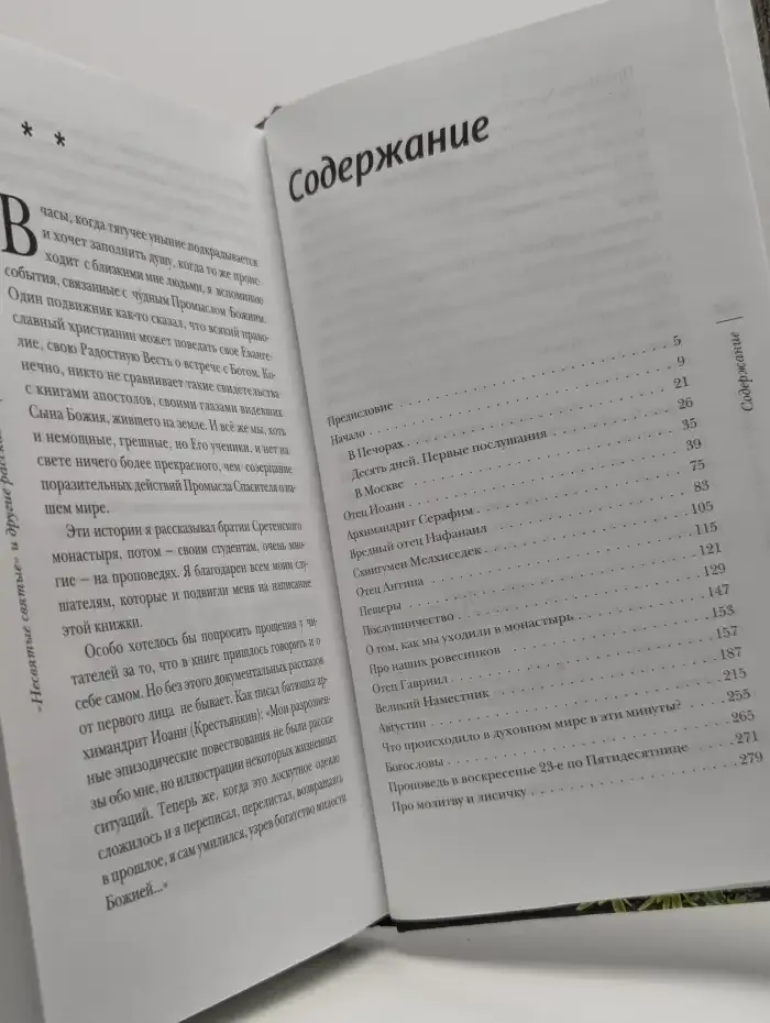 Несвятые святые и другие рассказы